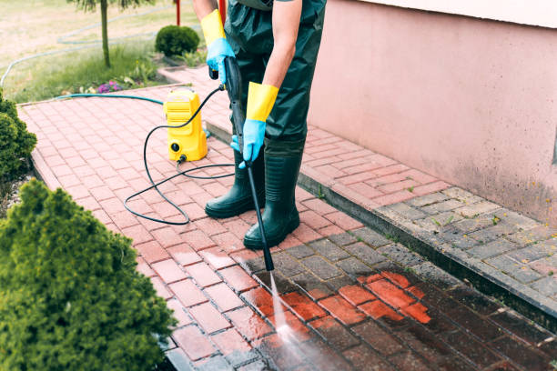 Best Solar Panel Cleaning  in Parshall, ND